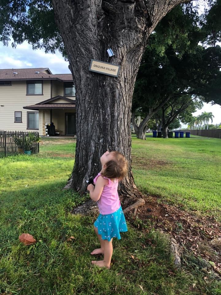 Neighborhood sign found by neighbor, second photo