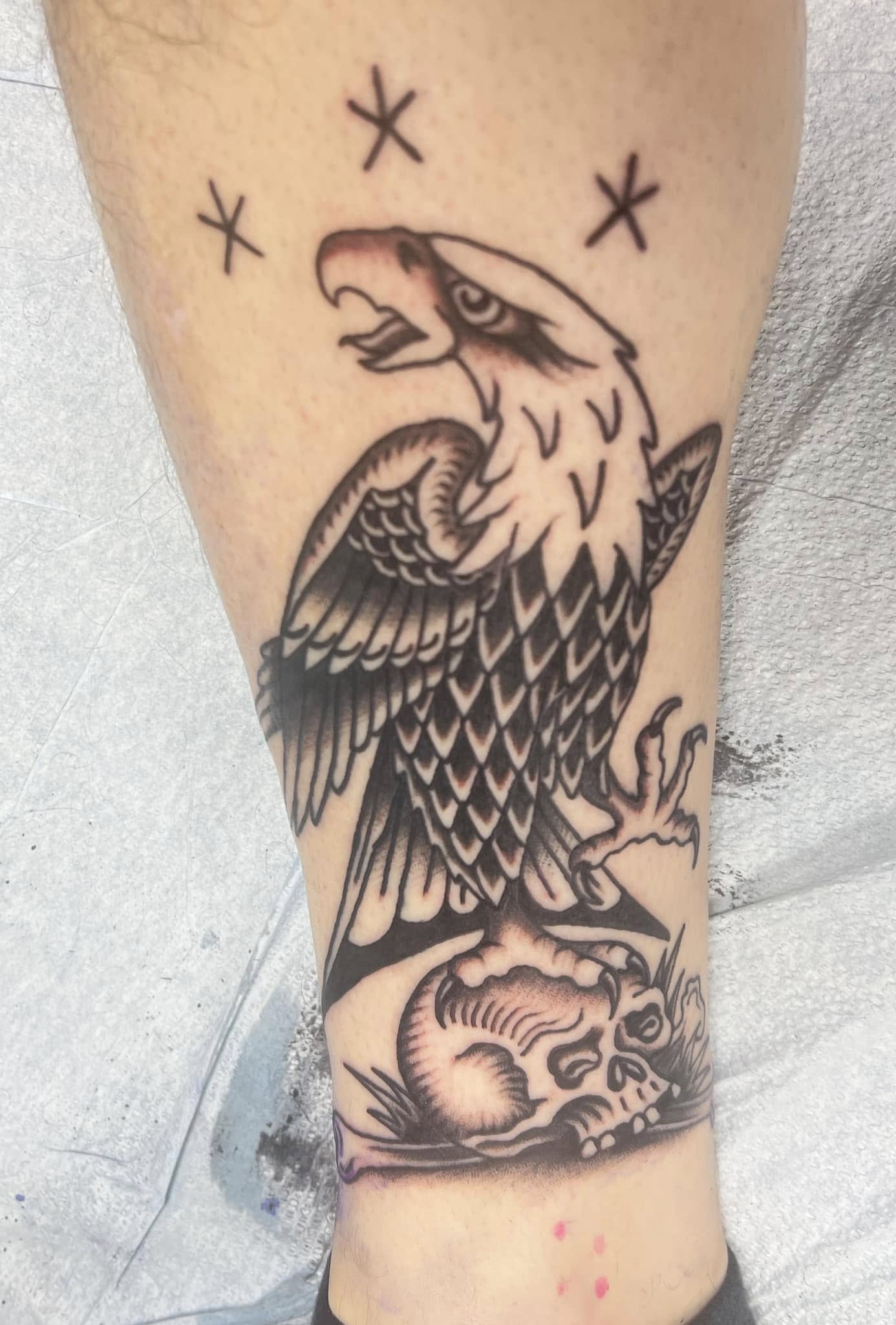 Eagle tattoo reference photo
